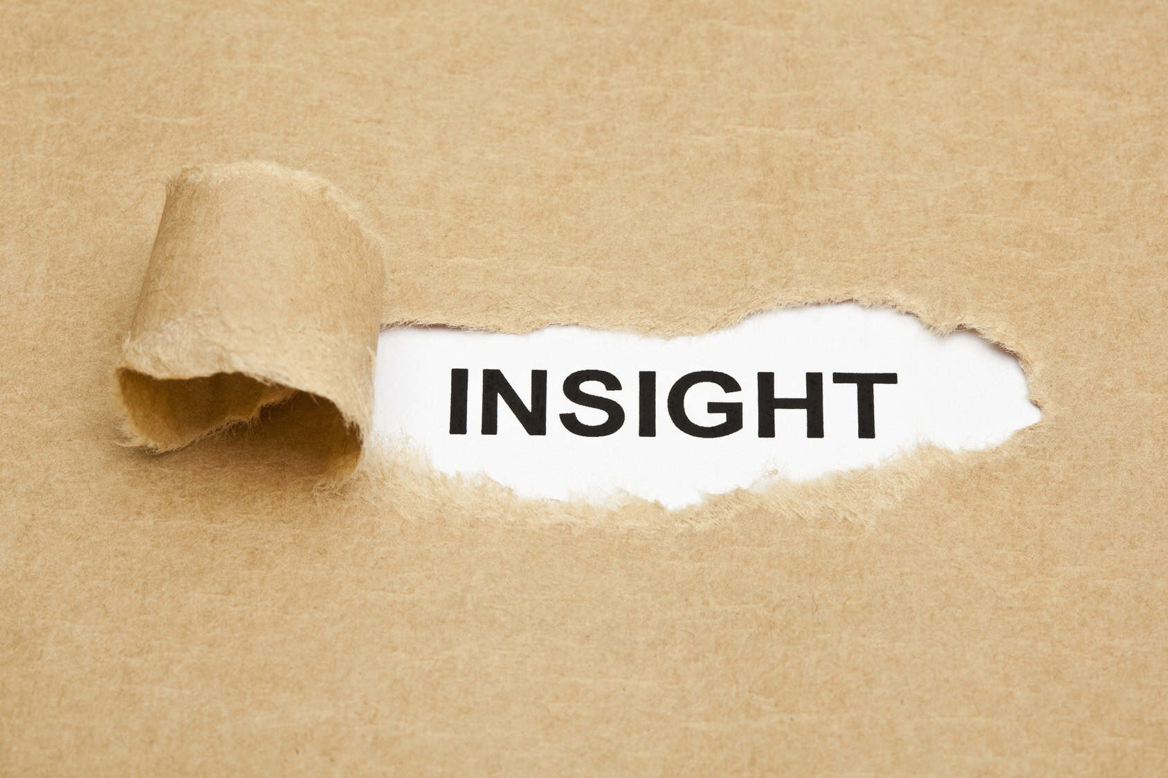 Gli insight: molto più di numeri e statistiche